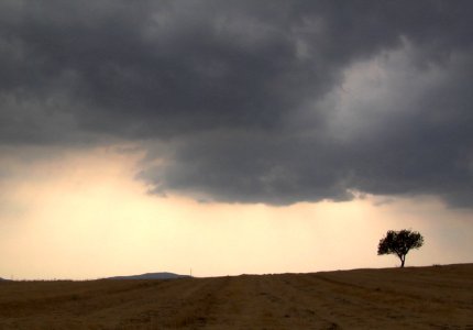 Φεστιβάλ Ντοκιμαντέρ Χαλκίδας: Στο «Αρκαδία Χαίρε» το 1ο βραβείο