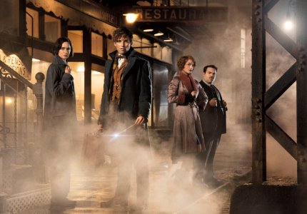 Fantastic beasts and where to find them