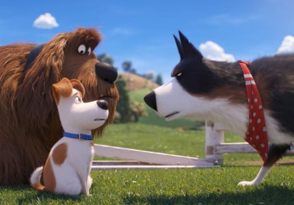 The secret life of pets 2