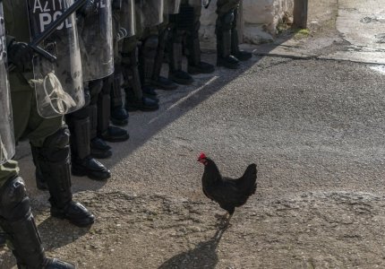 H "Kότα" στο Φεστιβάλ του Σαν Σεμπαστιάν
