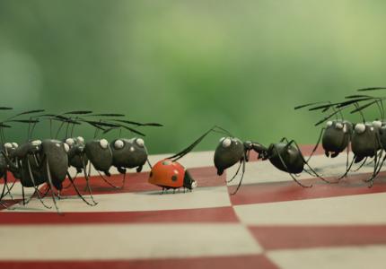 Τοσοδούλικα: Η Κοιλάδα των Χαμένων Μυρμηγκιών 