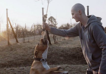 Θεσσαλονίκη 13: "Μy dog killer" - REVIEW
