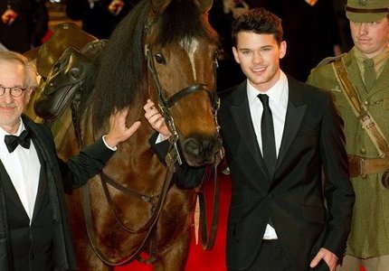 War Horse: The Facts