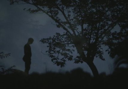Berlinale 14: Το "Washingtonia" της Κωνσταντίνας Κοτζαμάνη για μικρού μήκους