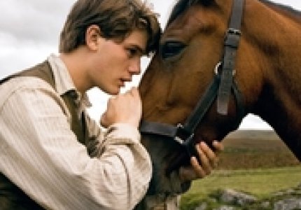 War Horse