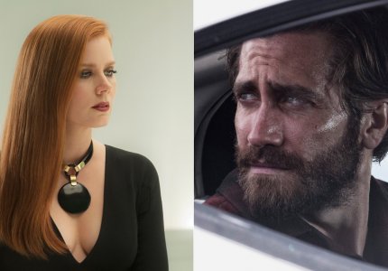 Nocturnal Animals