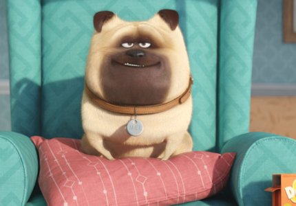 "The Secret Life Of Pets": Από τους δημιουργούς του "Despicable me"