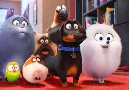 The secret life of pets