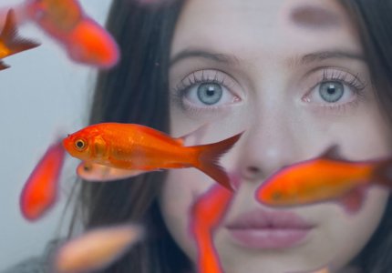 Carrie Pilby