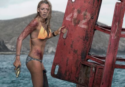 The shallows