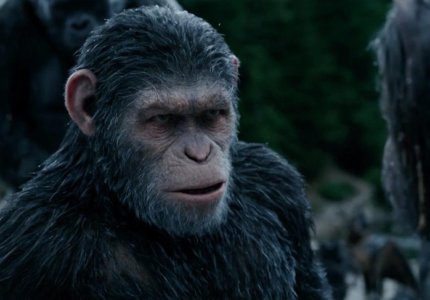 War for the planet of the apes