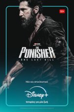 The Punisher: One Last Kill