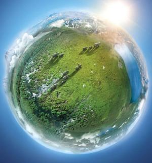 Poster - Planet Earth 2 Poster